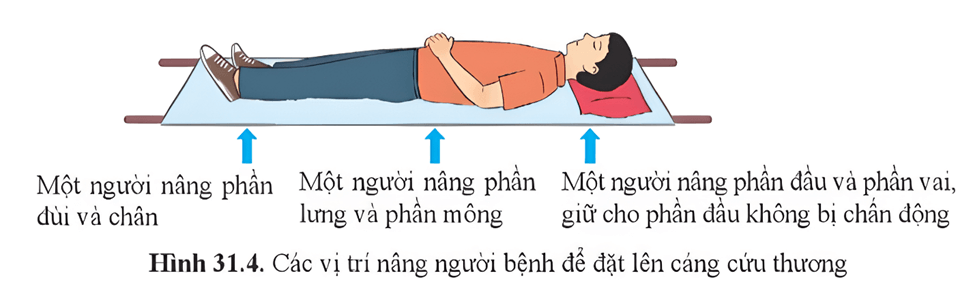 Lý thuyết KHTN 8 Cánh diều Bài 31: Thực hành về máu về hệ tuần hoàn