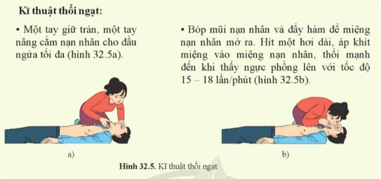 Lý thuyết KHTN 8 Cánh diều Bài 32: Hệ hô hấp ở người