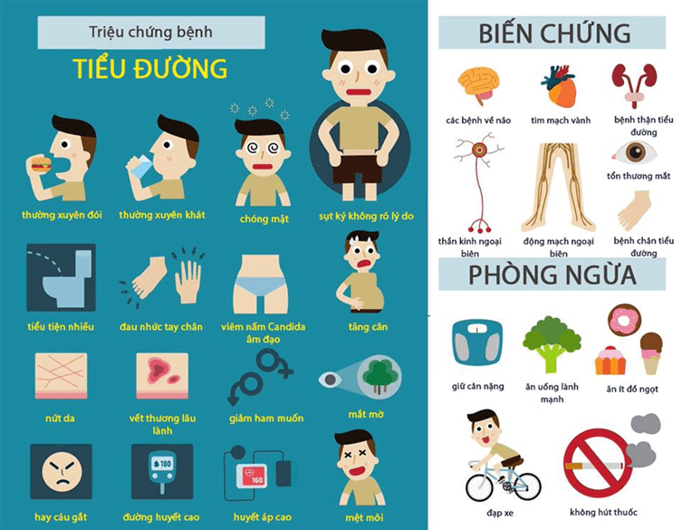 Lý thuyết KHTN 8 Cánh diều Bài 35: Hệ nội tiết ở người