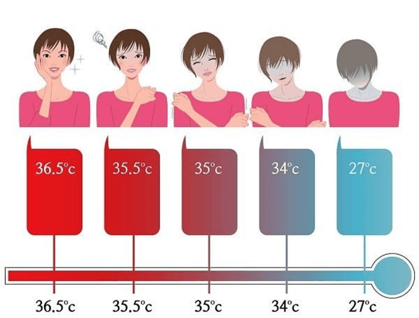 Lý thuyết KHTN 8 Cánh diều Bài 36: Da và điều hòa thân nhiệt ở người