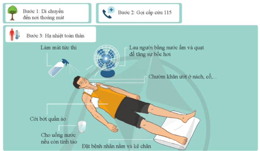 Lý thuyết KHTN 8 Cánh diều Bài 36: Da và điều hòa thân nhiệt ở người