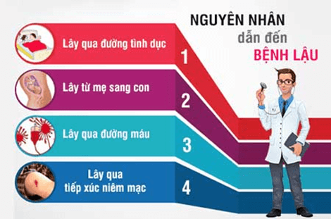 Lý thuyết KHTN 8 Cánh diều Bài 37: Sinh sản ở người