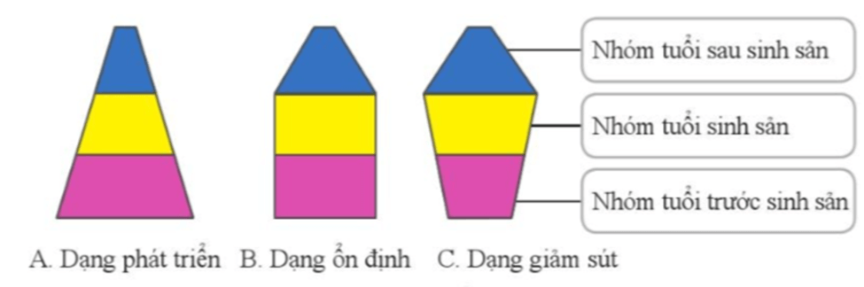 Lý thuyết KHTN 8 Cánh diều Bài 39: Quần thể sinh vật