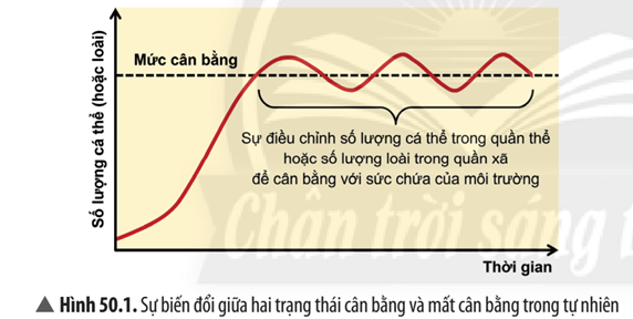 Quan sát Hình 50.1, hãy cho biết: Nguyên nhân gây mất cân bằng tự nhiên