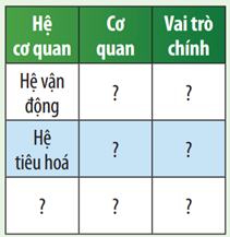 Quan sát Hình 29.2 và hoàn thành bảng theo mẫu sau