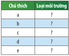 Xác định các loại môi trường có trong Hình 45.1 bằng cách hoàn thành