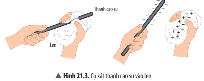 Quan sát Hình 21.3 và trả lời các câu hỏi sau trang 101 KHTN lớp 8