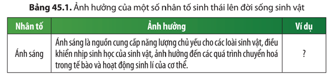 Cho ví dụ chứng minh sự ảnh hưởng của các nhân tố sinh thái