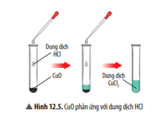 Hãy nêu hiện tượng và viết phương trình hoá học của phản ứng xảy ra ở Thí nghiệm 1