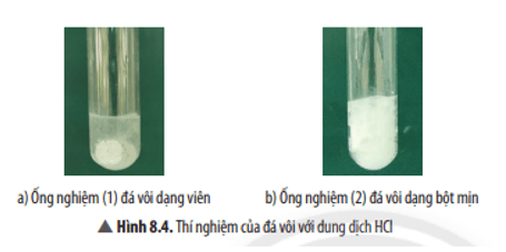 Ống nghiệm nào có lượng khí thoát ra nhanh hơn? Giải thích