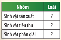 Cho các sinh vật sau: cây bạch đàn, gấu Koala, vi khuẩn E.coli