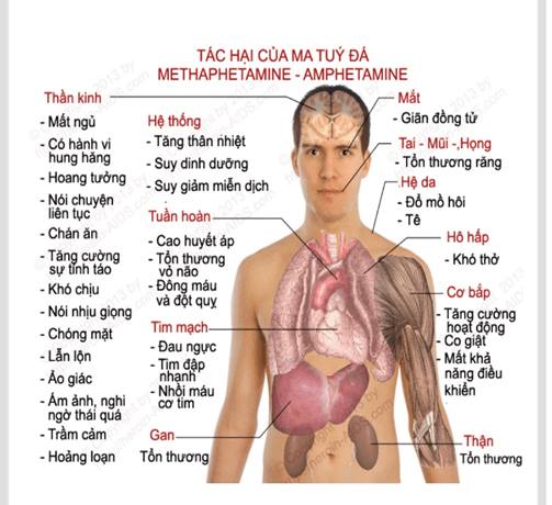 Thiết kế một sản phẩm (áp phích, video clip,…) để tuyên truyền về tác hại