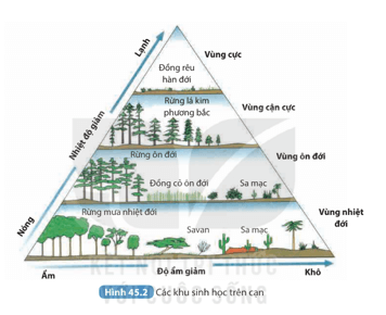 Quan sát Hình 45.2 cho biết việc hình thành các khu sinh học trên cạn khác nhau