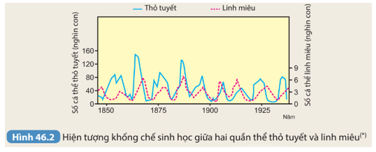 Quan sát Hình 46.2 em hãy cho biết số lượng cá thể thỏ tuyết và linh miêu