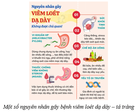 Lý thuyết KHTN 8 Kết nối tri thức Bài 32: Dinh dưỡng và tiêu hóa ở người 