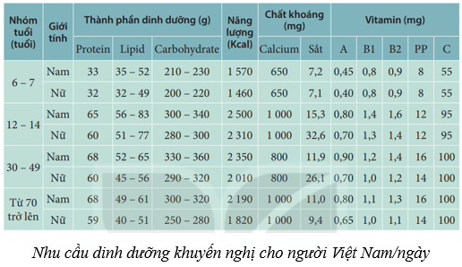 Lý thuyết KHTN 8 Kết nối tri thức Bài 32: Dinh dưỡng và tiêu hóa ở người 