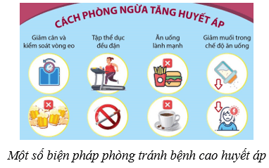 Lý thuyết KHTN 8 Kết nối tri thức Bài 33: Máu và hệ tuần hoàn của cơ thể người 