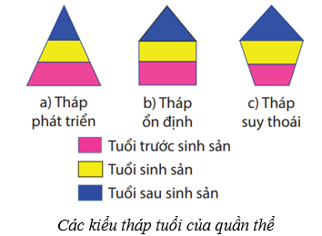 Lý thuyết KHTN 8 Kết nối tri thức Bài 42: Quần thể sinh vật 