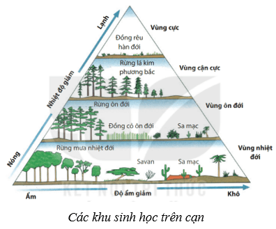 Lý thuyết KHTN 8 Kết nối tri thức Bài 45: Sinh quyển 