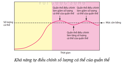 Lý thuyết KHTN 8 Kết nối tri thức Bài 46: Cân bằng tự nhiên 