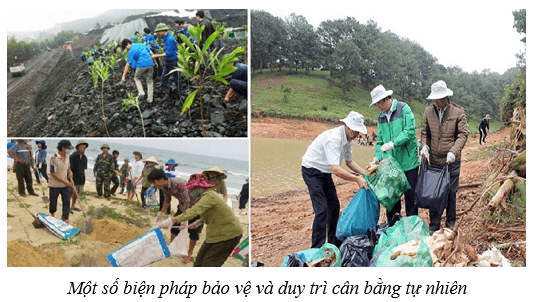 Lý thuyết KHTN 8 Kết nối tri thức Bài 46: Cân bằng tự nhiên 