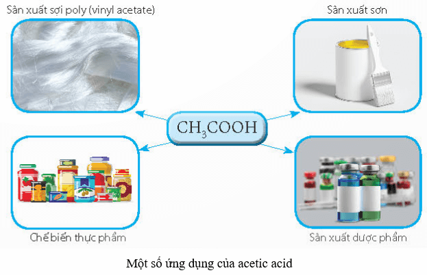 Lý thuyết KHTN 8 Kết nối tri thức Bài 8: Acid 