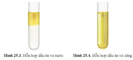 Quan sát các hình 25.3 và 25.4, nêu nhận xét về khả năng hòa tan của chất béo