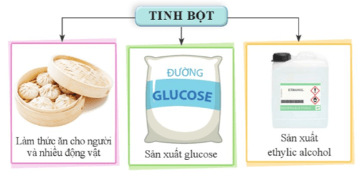 Quan sát hình 27.4 và cho biết những ứng dụng chính của tinh bột