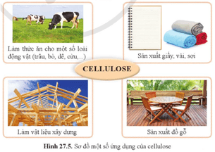 Quan sát hình 27.5 và cho biết những ứng dụng chính của cellulose