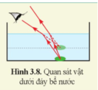 Khi ta quan sát một vật ở dưới đáy bể nước hình 3.8, ta có cảm giác vật