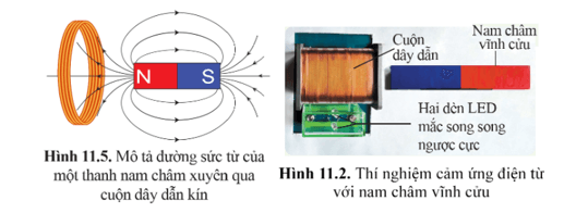 Lý thuyết KHTN 9 Bài 11: Cảm ứng điện từ. Nguyên tắc tạo ra dòng điện xoay chiều | Cánh diều