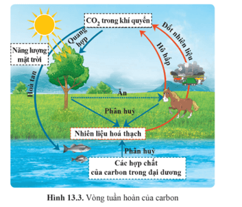 Lý thuyết KHTN 9 Bài 13: Sử dụng năng lượng | Cánh diều