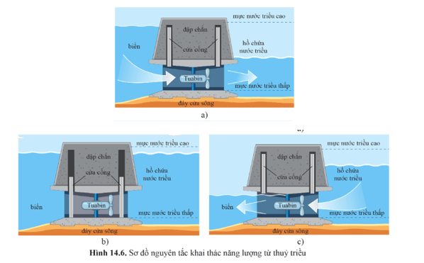 Lý thuyết KHTN 9 Bài 14: Năng lượng tái tạo | Cánh diều