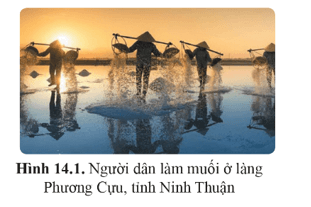 Lý thuyết KHTN 9 Bài 14: Năng lượng tái tạo | Cánh diều