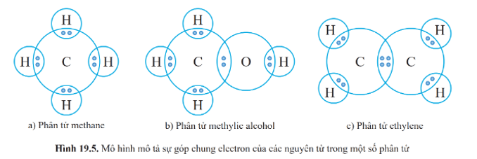 Lý thuyết KHTN 9 Bài 19: Giới thiệu về chất hữu cơ | Cánh diều