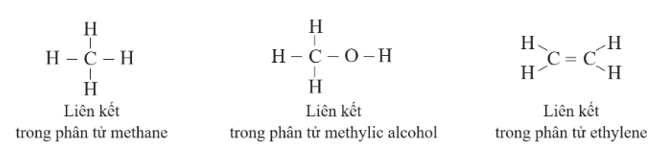 Lý thuyết KHTN 9 Bài 19: Giới thiệu về chất hữu cơ | Cánh diều