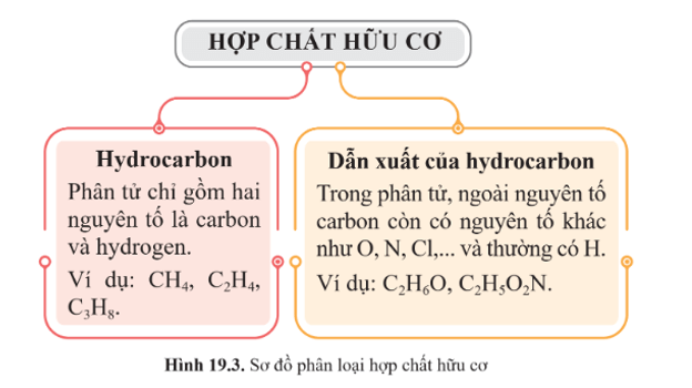 Lý thuyết KHTN 9 Bài 19: Giới thiệu về chất hữu cơ | Cánh diều