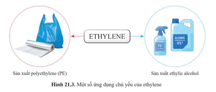 Lý thuyết KHTN 9 Bài 21: Alkene | Cánh diều