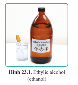 Lý thuyết KHTN 9 Bài 23: Ethylic alcohol | Cánh diều