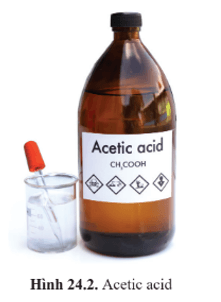 Lý thuyết KHTN 9 Bài 24: Acetic acid | Cánh diều