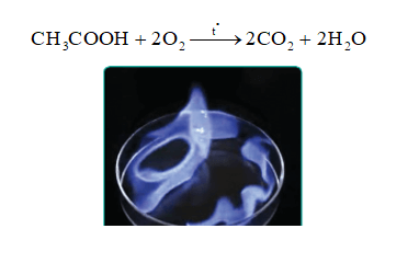 Lý thuyết KHTN 9 Bài 24: Acetic acid | Cánh diều