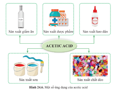 Lý thuyết KHTN 9 Bài 24: Acetic acid | Cánh diều