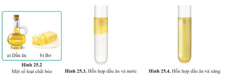 Lý thuyết KHTN 9 Bài 25: Lipid và chất béo | Cánh diều