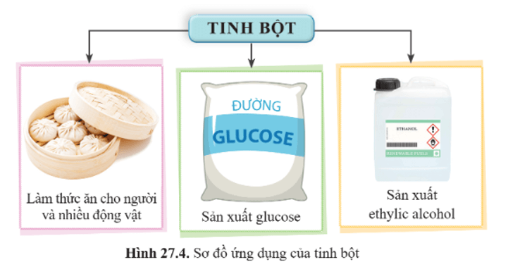 Lý thuyết KHTN 9 Bài 27: Tinh bột và cellulose | Cánh diều