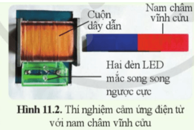 Chuẩn bị. Nam châm vĩnh cửu, cuộn dây dẫn có hai đầu dây nối với hai đèn LED