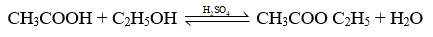 Trắc nghiệm KHTN 9 Bài 24: Acetic acid | Cánh diều