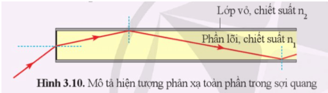 Sợi quang được ứng dụng trong nội soi, trang trí, truyền thông tin. Sợi quang có thể cho ánh sáng đi