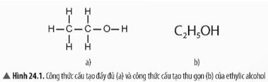 Quan sát Hình 24.1, hãy nhận xét về công thức cấu tạo của ethylic alcohol