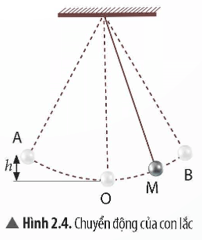 Trong chuyển động của con lắc Hình 2.4 ở những vị trí nào vật nặng có