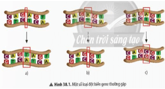 Quan sát Hình 38.1 và cho biết cấu trúc của đoạn gene đột biến có gì khác